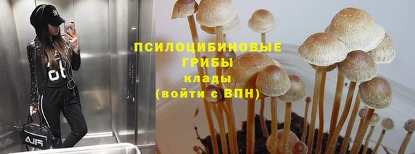 дживик Пересвет
