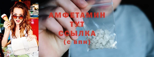 дживик Пересвет