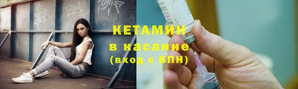 дживик Пересвет