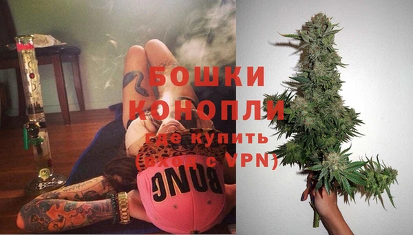 дживик Пересвет