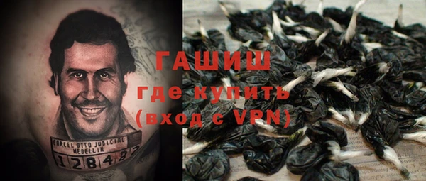 дживик Пересвет